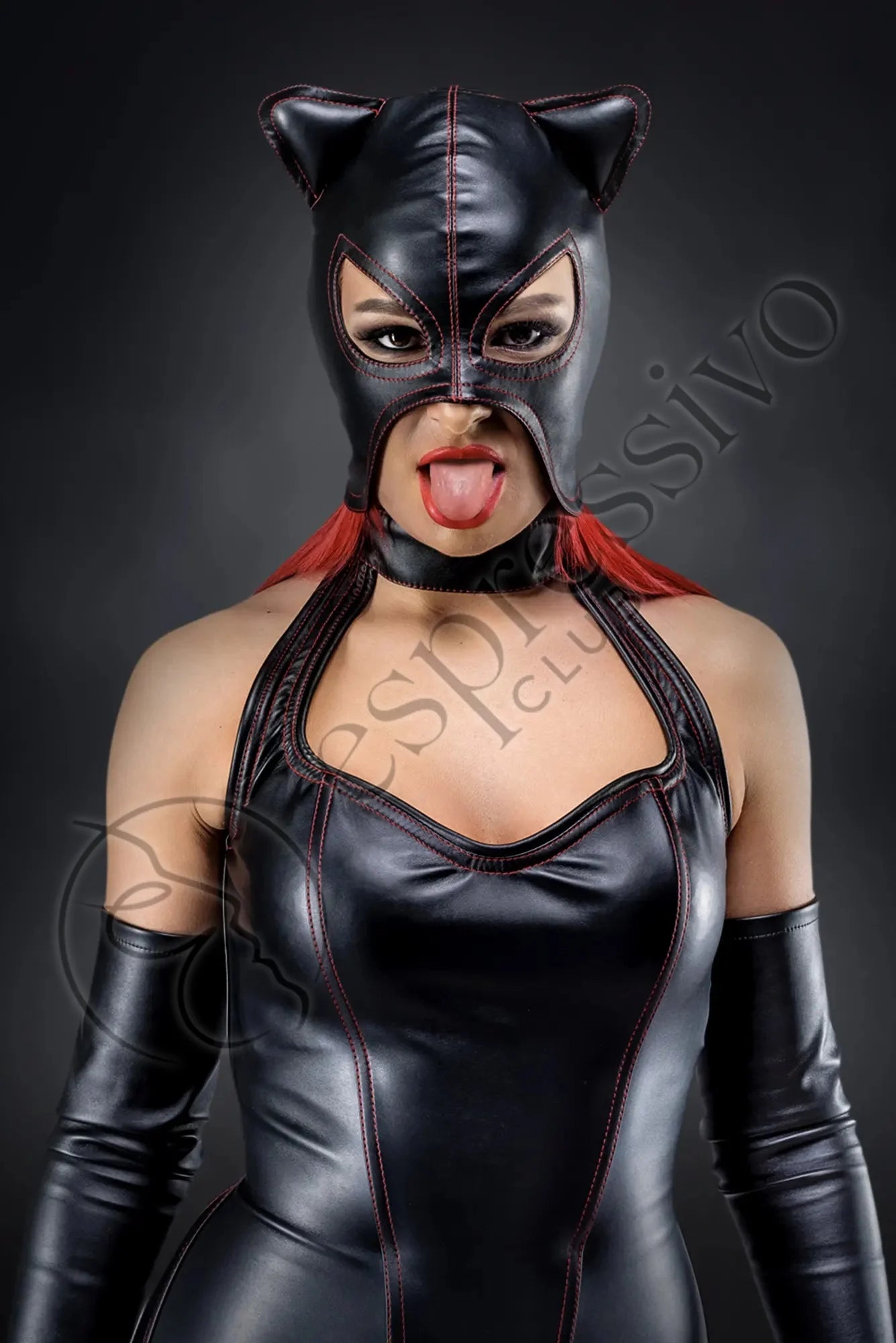 Bdsm Catwoman